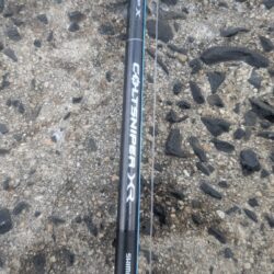 2026はかわいい青物から