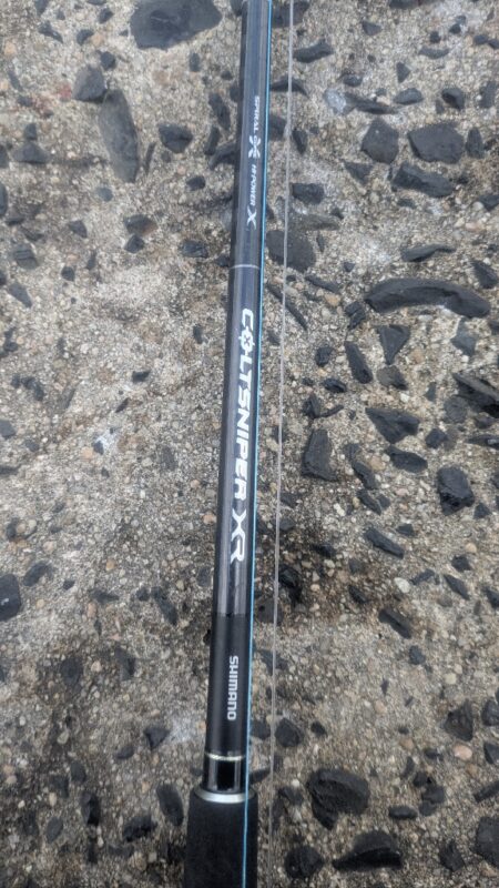 2026はかわいい青物から