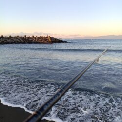 風も波も穏やかな湘南