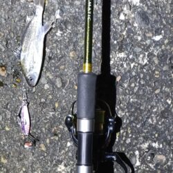 夕マヅメ凪のサーフ