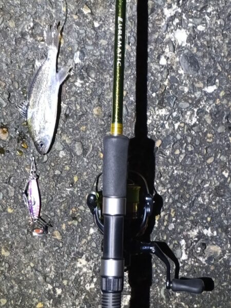 夕マヅメ凪のサーフ