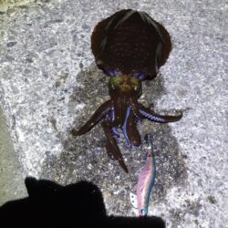 まさかの連発!!