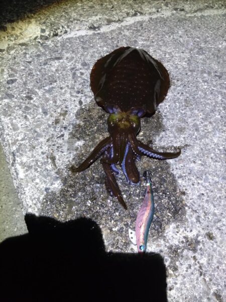 まさかの連発!!