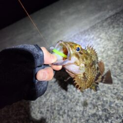 河川チニング&近郊ライトゲーム