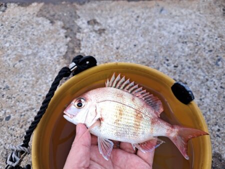 釣り納めは境港