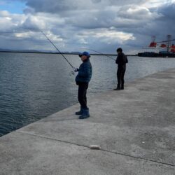 霰石の中のガシラ