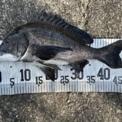 イチノ兄弟、釣果！