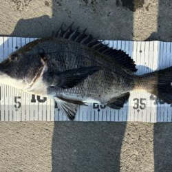 イチノ兄弟、釣果！