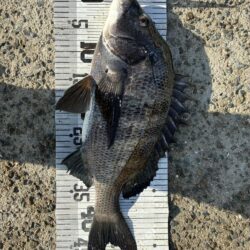 イチノ兄弟、釣果！