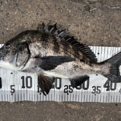 イチノ兄弟、釣果!