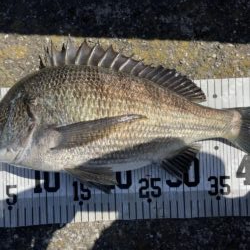 イチノ兄弟、釣果!