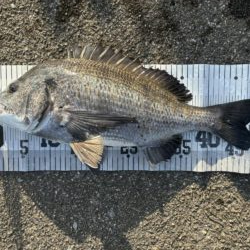 イチノ兄弟、釣果!