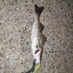 流れあり静かな海