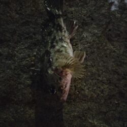 遠征2日目（釣り納め）