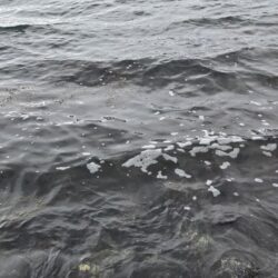 遠征3日目(釣り初め)