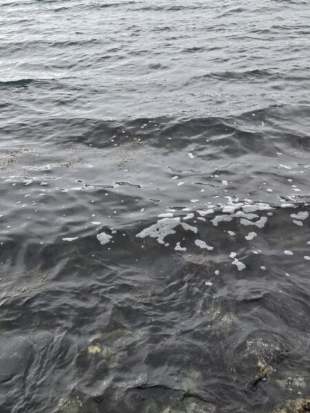 遠征3日目(釣り初め)