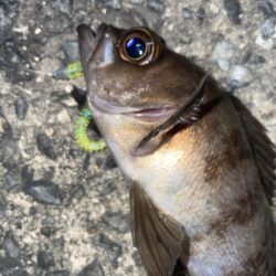 新年早々に記録更新‼️