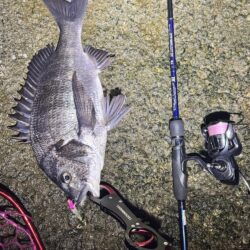 今年初のチニング