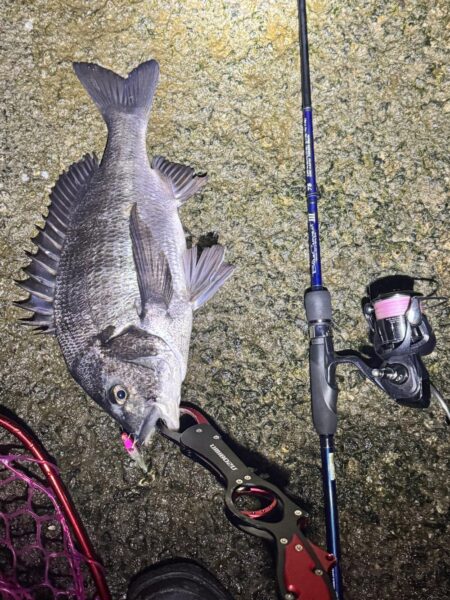 今年初のチニング