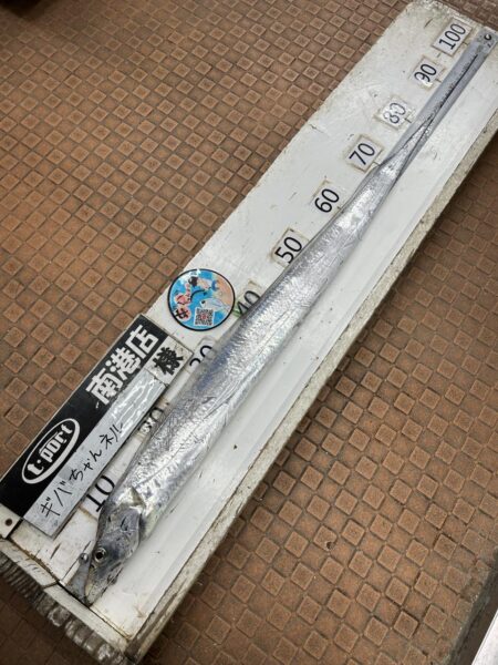 釣り納めでやってしまった