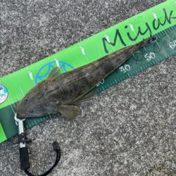 初釣りでも本命ゲット