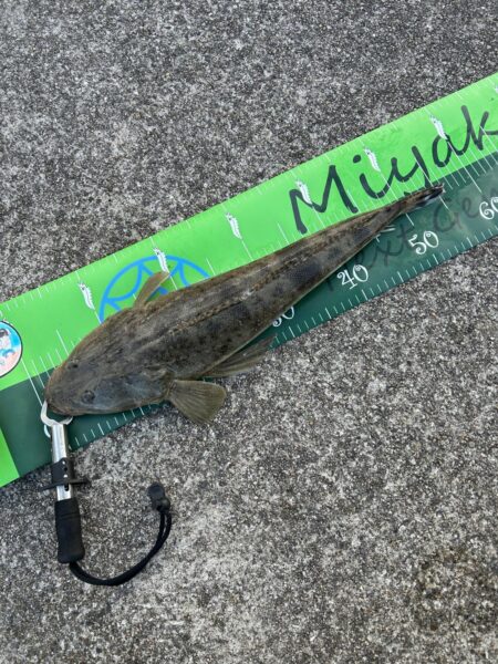 初釣りでも本命ゲット