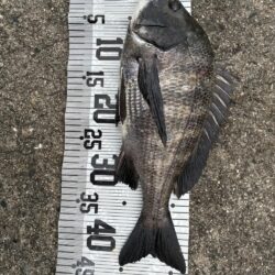 イチノ兄弟、釣果!