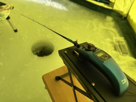 今年も開花しました！サクラとワカサギ 釣り