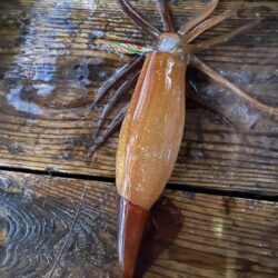 イカメタル調子良かったはずが…