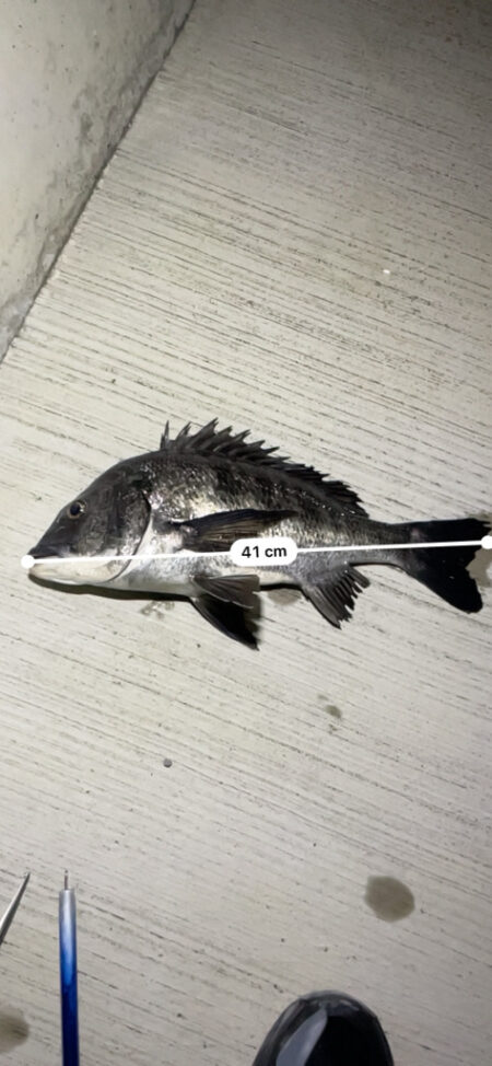 今のうちにチニング