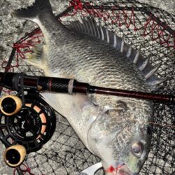 ヘチってきました