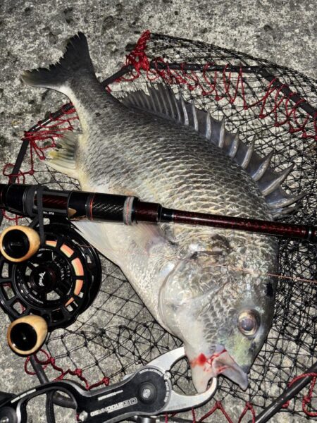 ヘチってきました