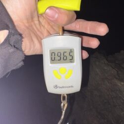 新年初エギング