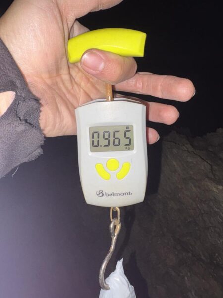 新年初エギング