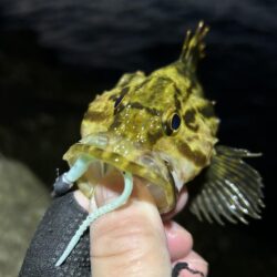 2026.No.3 ライトゲーム