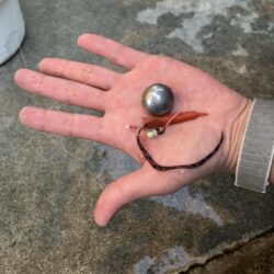 五目タイラバで目標達成