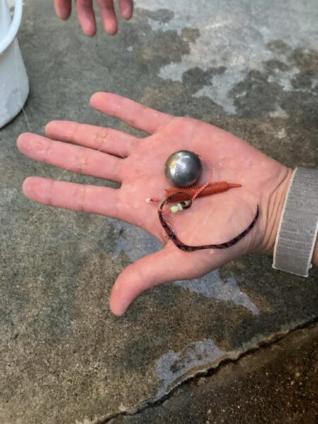 五目タイラバで目標達成