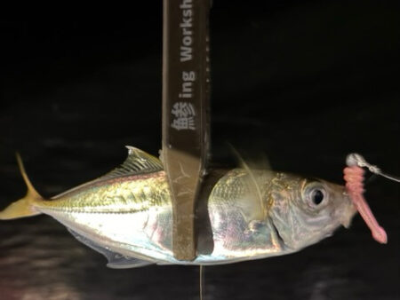 そろそろ終わり？