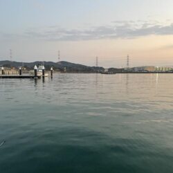 カマスの干物が食べたくて