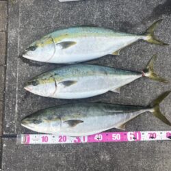 伊勢湾ジギング