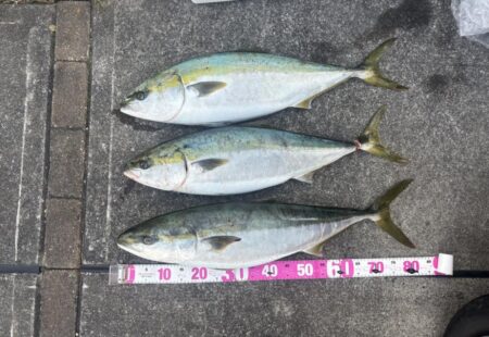 伊勢湾ジギング