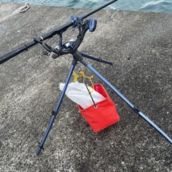 年明け2回目アジパトロール