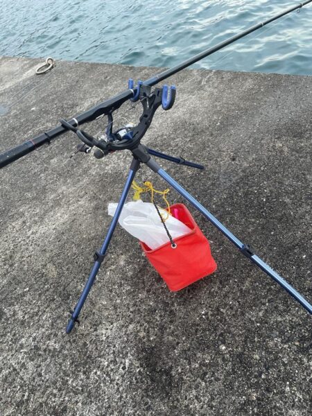 年明け2回目アジパトロール