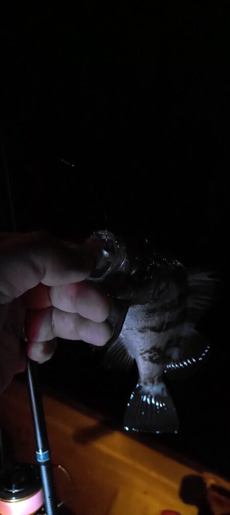 ボートメバリング