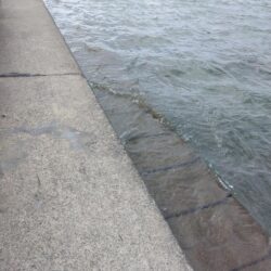 初釣りからのリベンジ