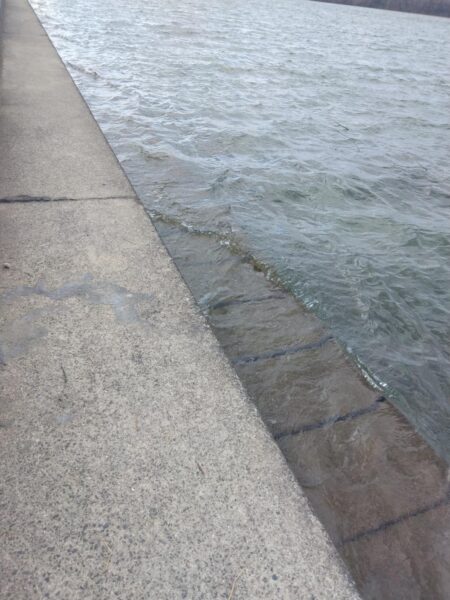 初釣りからのリベンジ