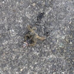 ちょい投げファミリー釣り