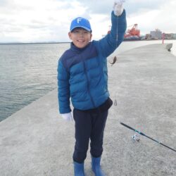 霰石の中のガシラ