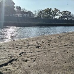 極寒の中、マゴチが釣れました。