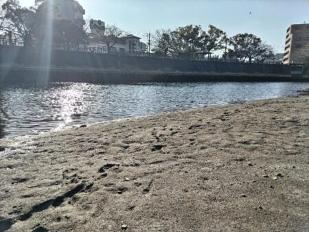 極寒の中、マゴチが釣れました。